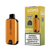Waka - soPro DM8000i