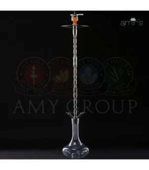 AMY 490