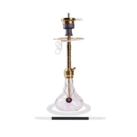 amy-deluxe-chicha-gold-transparent-amy-deluxe-xpress-fame-ss29-02-28997016518795_720x (1)